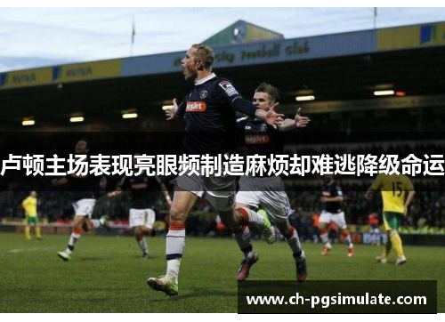 卢顿主场表现亮眼频制造麻烦却难逃降级命运