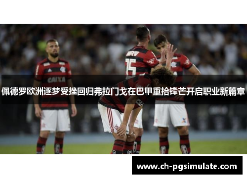 佩德罗欧洲逐梦受挫回归弗拉门戈在巴甲重拾锋芒开启职业新篇章